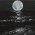Avatar for sffzh from gravatar.com