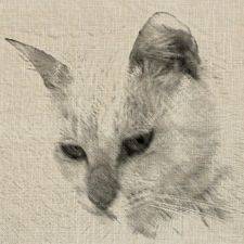 Avatar for Satoshi Takahashi from gravatar.com