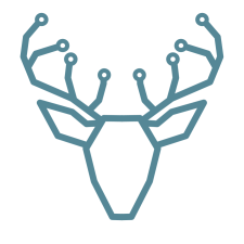 Avatar for Tanner Hammond from gravatar.com