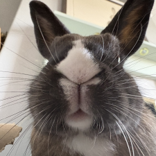 Avatar for lowmanio from gravatar.com