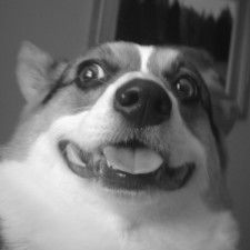 Avatar for Brian Day from gravatar.com