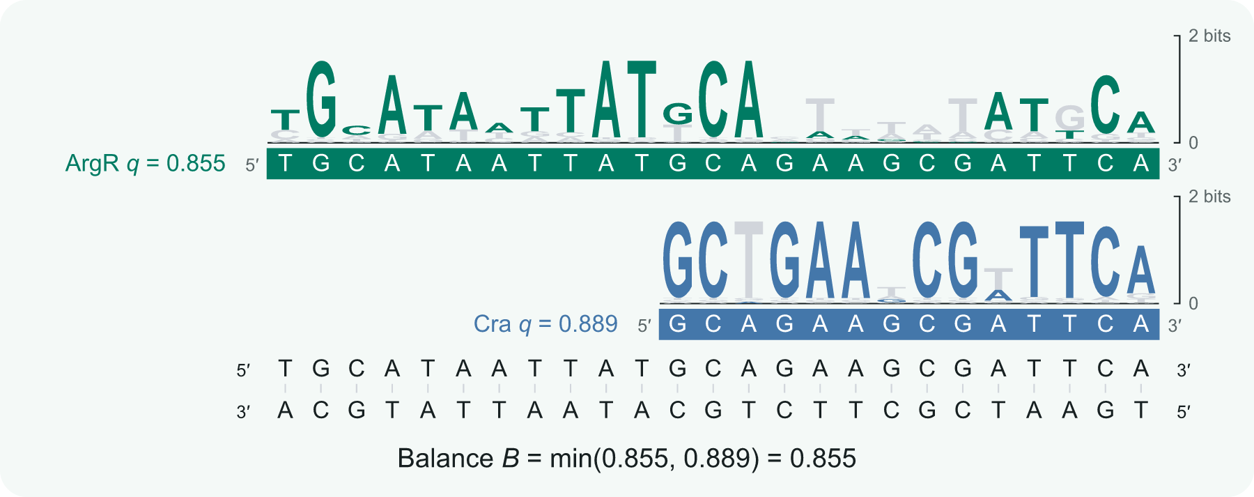 ArgR and Cra logos aligned to the recovered 25-base duplex, with scores 0.855 and 0.889