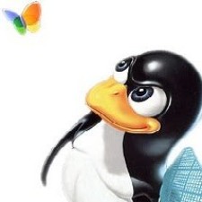 Avatar for kurapika6020 from gravatar.com