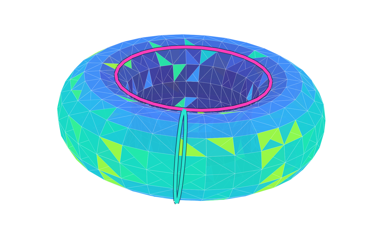 Alpha complex on a torus with two independent cycles highlighted