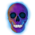 Avatar for Skulldorom from gravatar.com