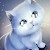 Avatar for phonghhd from gravatar.com
