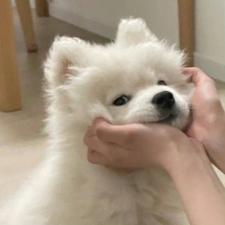 Avatar for Yihan Lin from gravatar.com