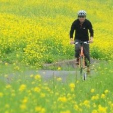 Avatar for cktse from gravatar.com