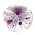 Avatar for njjohans from gravatar.com
