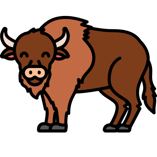 Bison