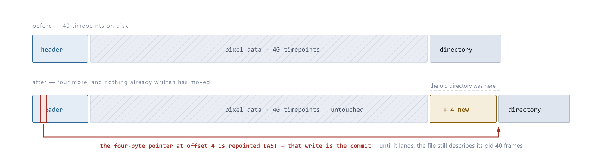An ImageJ stack keeps its directory at the end, so new planes are written where it was and the four-byte header pointer is repointed last