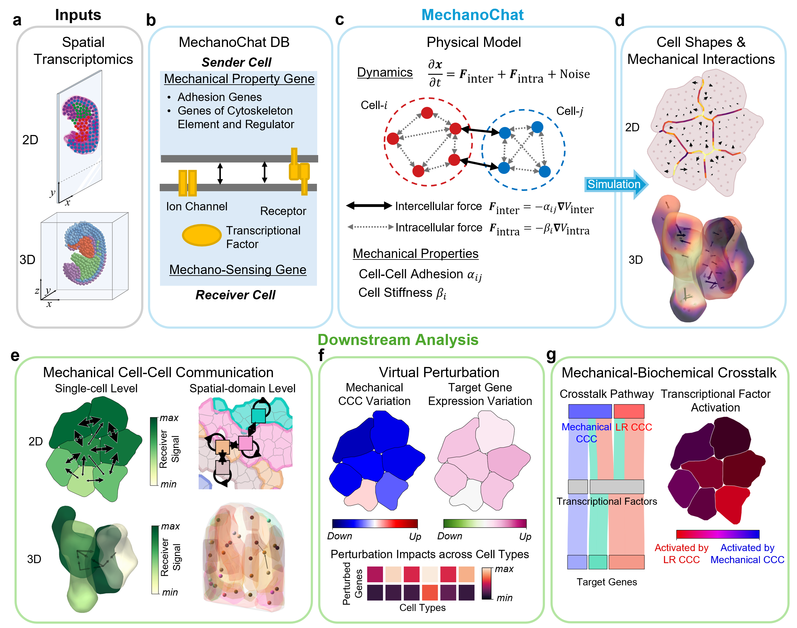 MechanoChat overview