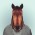 Avatar for Troytft from gravatar.com