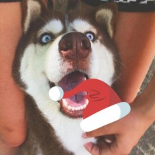 Avatar for DelinQu from gravatar.com