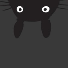 Avatar for guofeng liu from gravatar.com