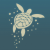 Avatar for rasainitium from gravatar.com