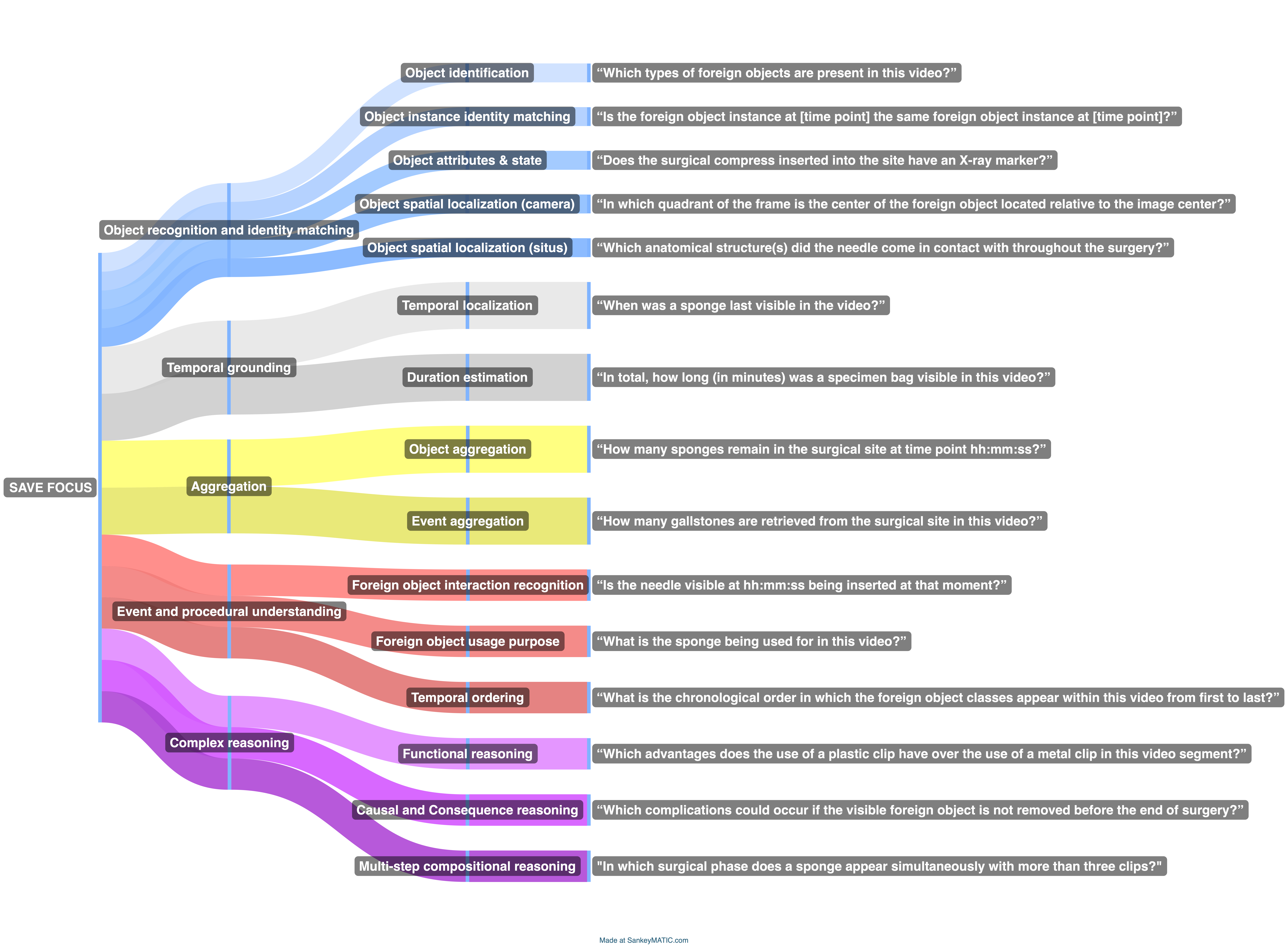 SAVE FOCUS capability taxonomy with example questions