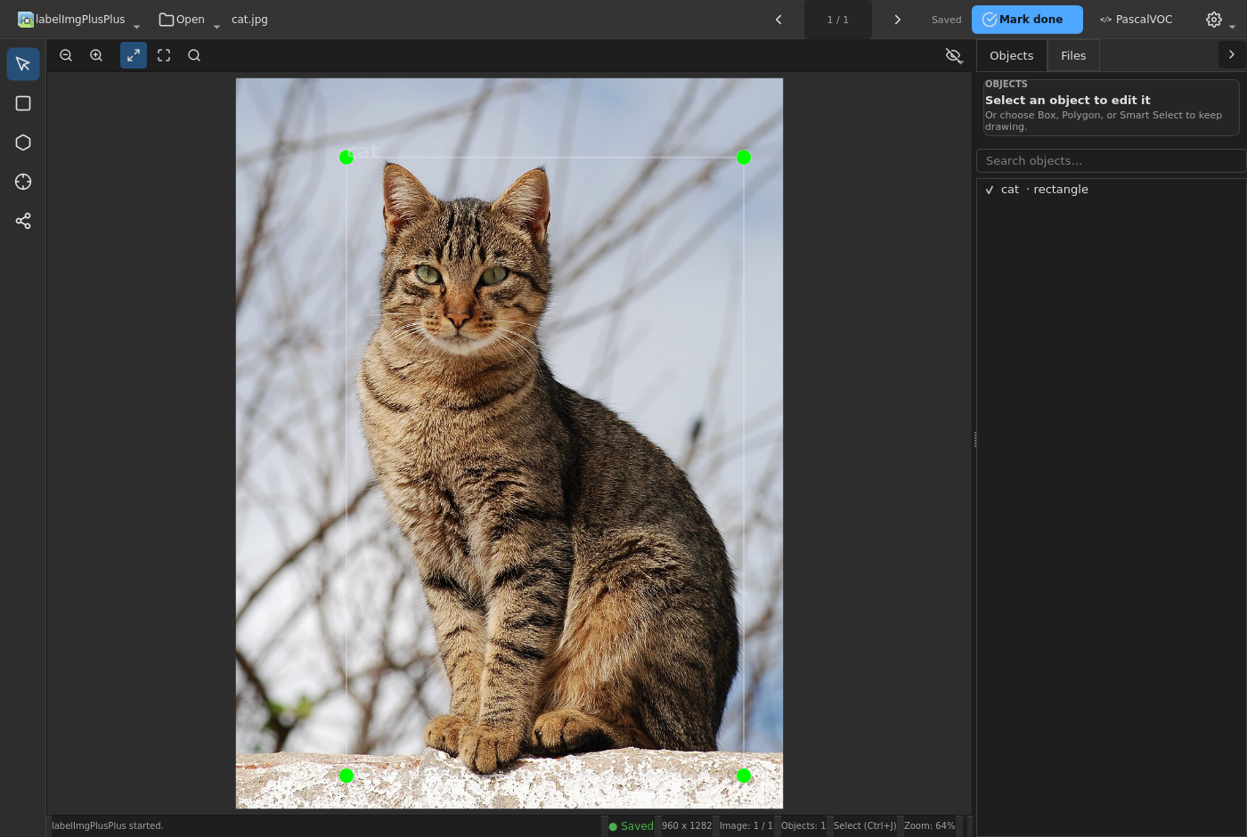 Cat bounding-box annotation in the dark workspace, with the Objects inspector and completion action