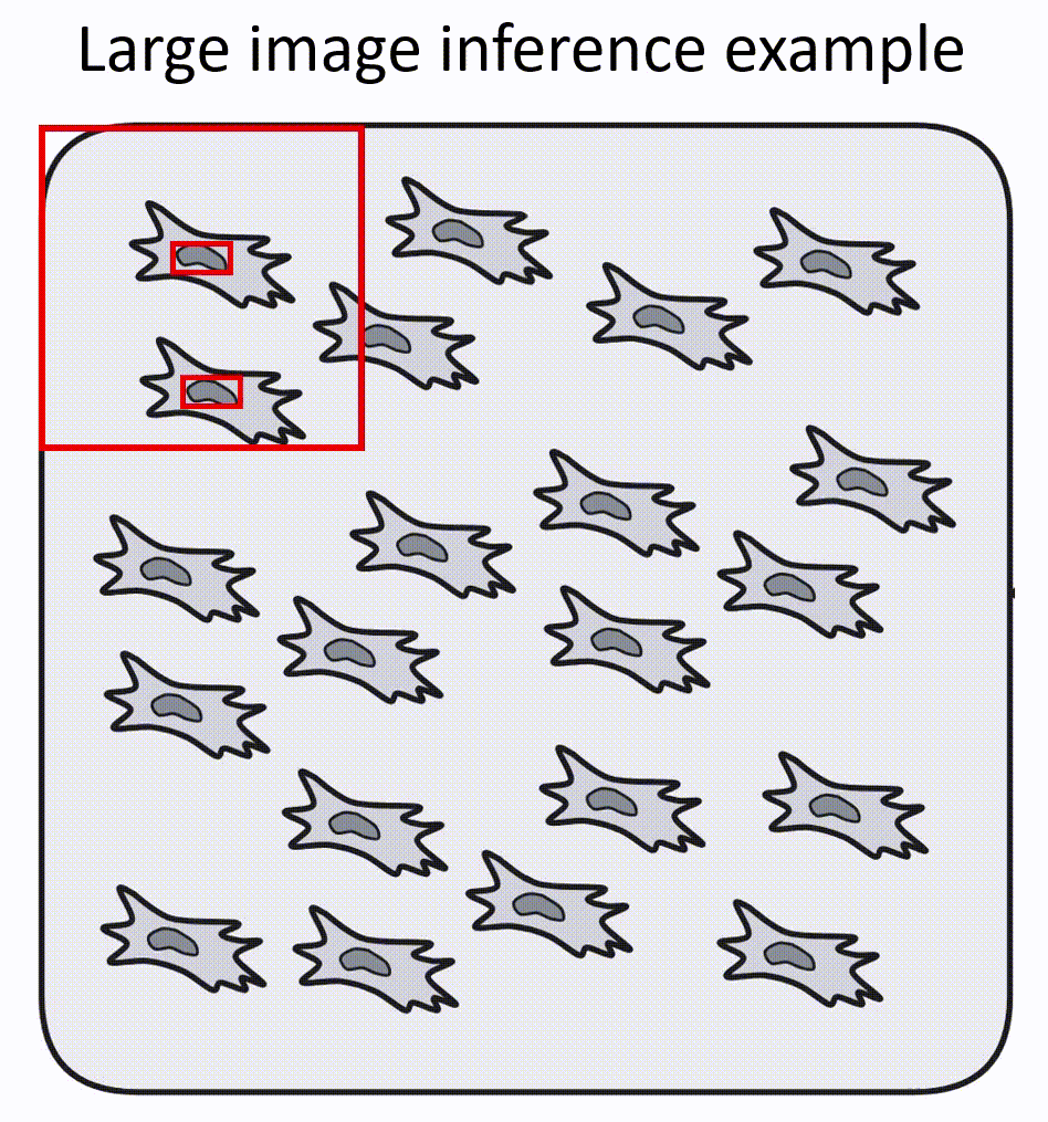 Image didn't load