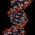Avatar for thatdnaguy from gravatar.com