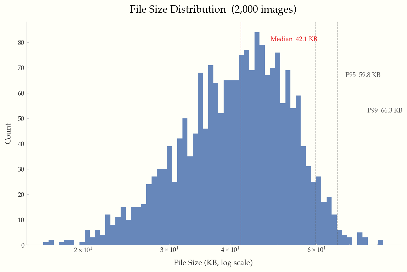 File Size