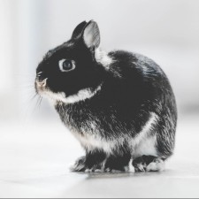 Avatar for Xun Li from gravatar.com