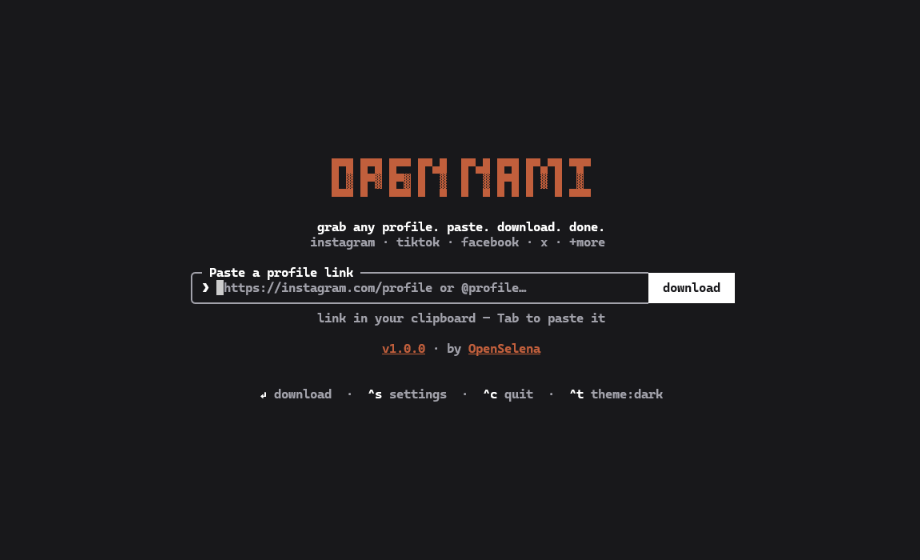 URL Input Screen