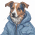 Avatar for supmo668 from gravatar.com