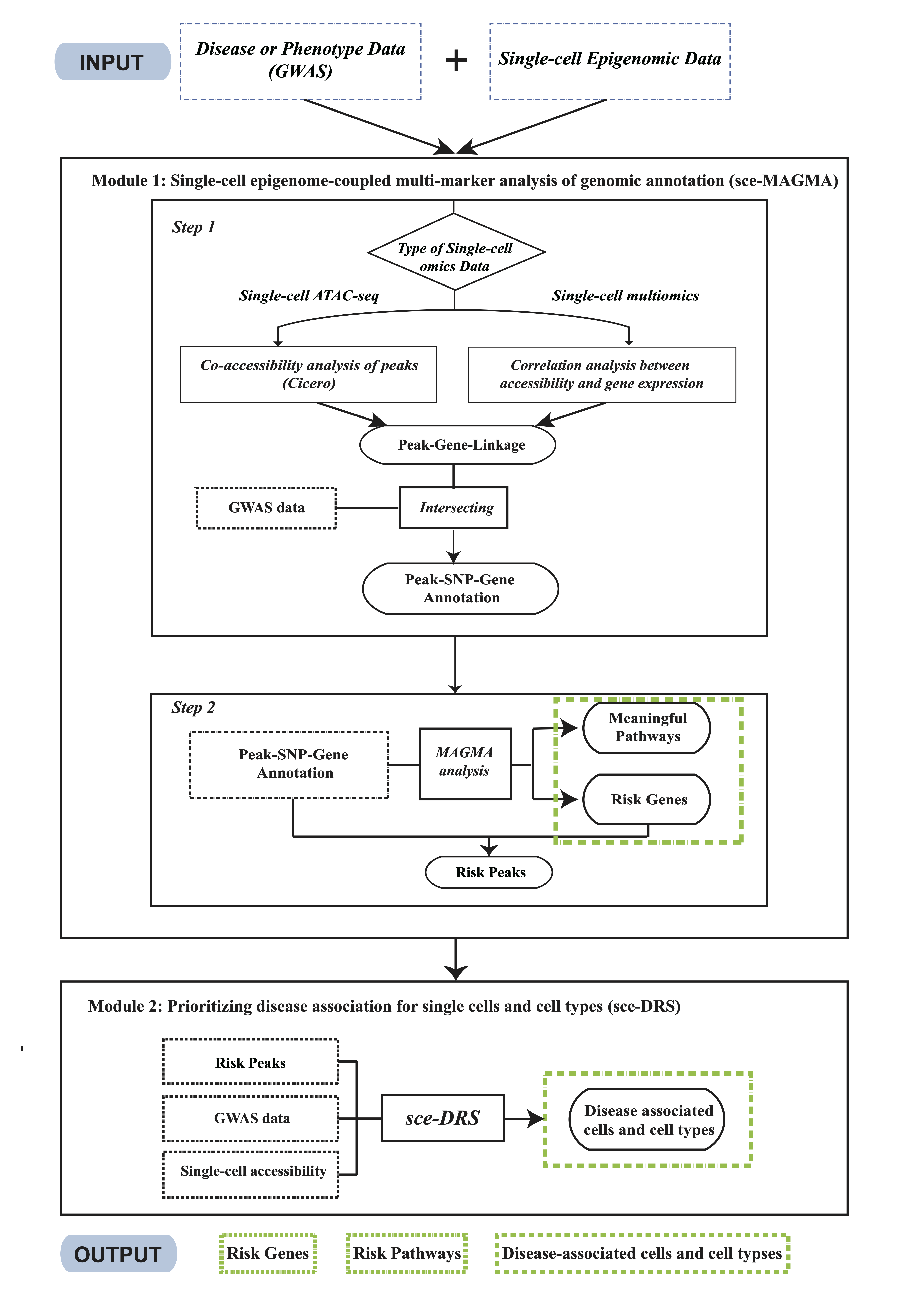 Fig1