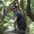 Avatar for shakedlokits from gravatar.com