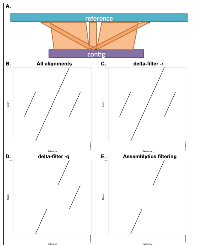 unique anchor filtering