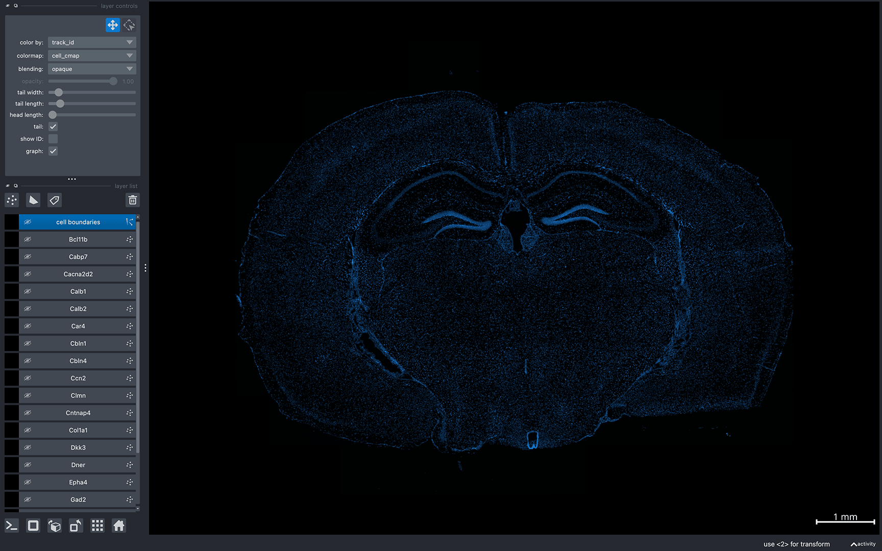 Initial napari load page