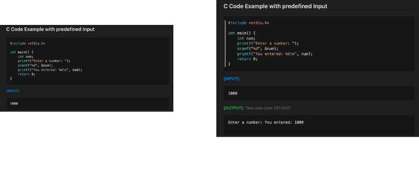 Supports custom predefined inputs or inputs from stdio