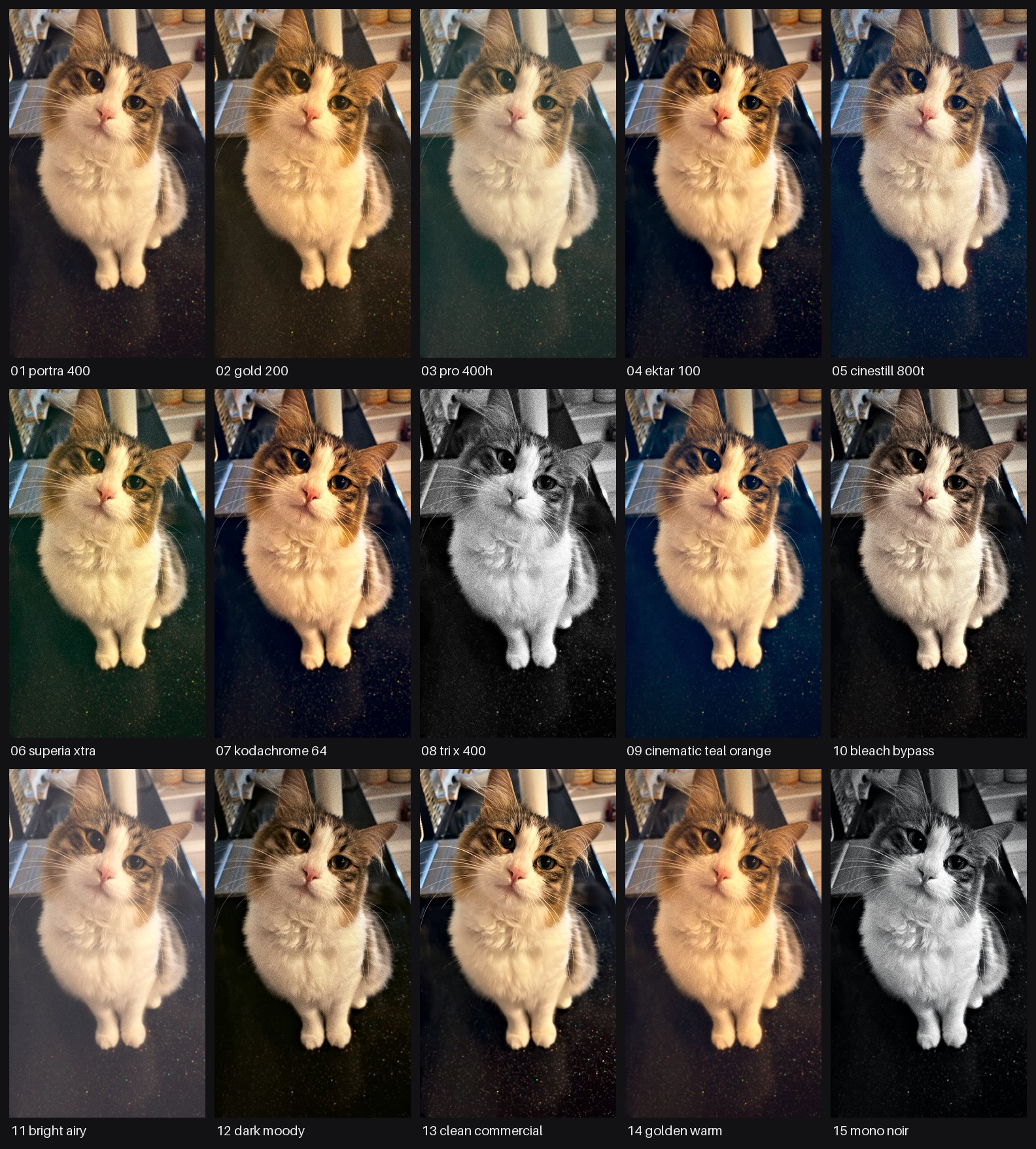The 15 signature themes applied to one photo