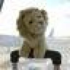 Avatar for PierreSelim from gravatar.com