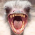 Avatar for cmroche from gravatar.com