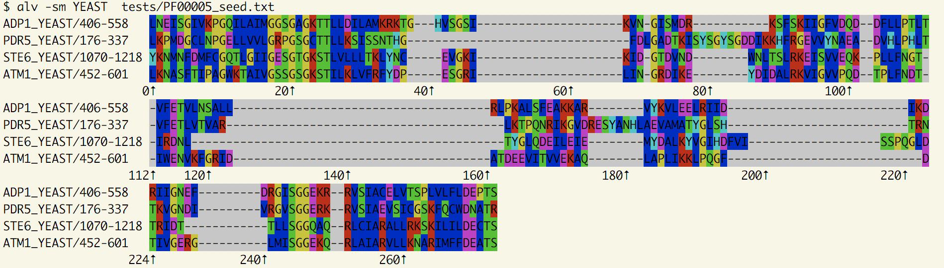 MSA from PF00005