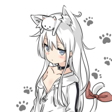 Avatar for Gone Cat from gravatar.com