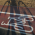 Avatar for sas from gravatar.com