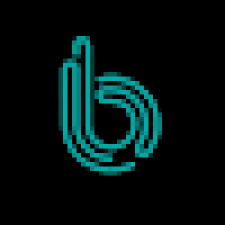 Avatar for Binbash Inc from gravatar.com