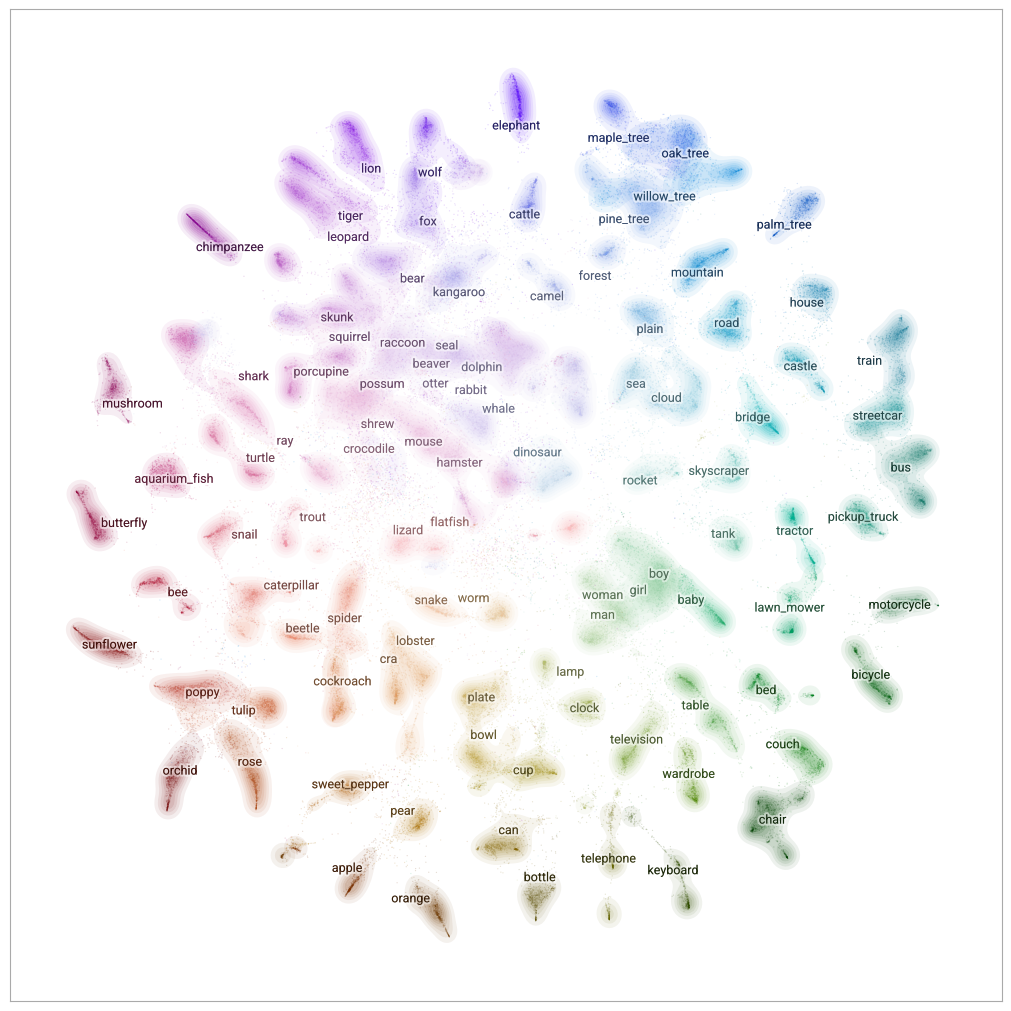 TSNE on CIFAR100 DINO features