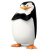 Avatar for pykuga from gravatar.com