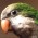 Avatar for dekked from gravatar.com