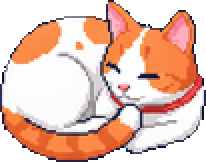 Oso, the CopyKat Studio cat