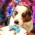 Avatar for zbjdonald from gravatar.com