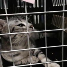 Avatar for aisensiy from gravatar.com