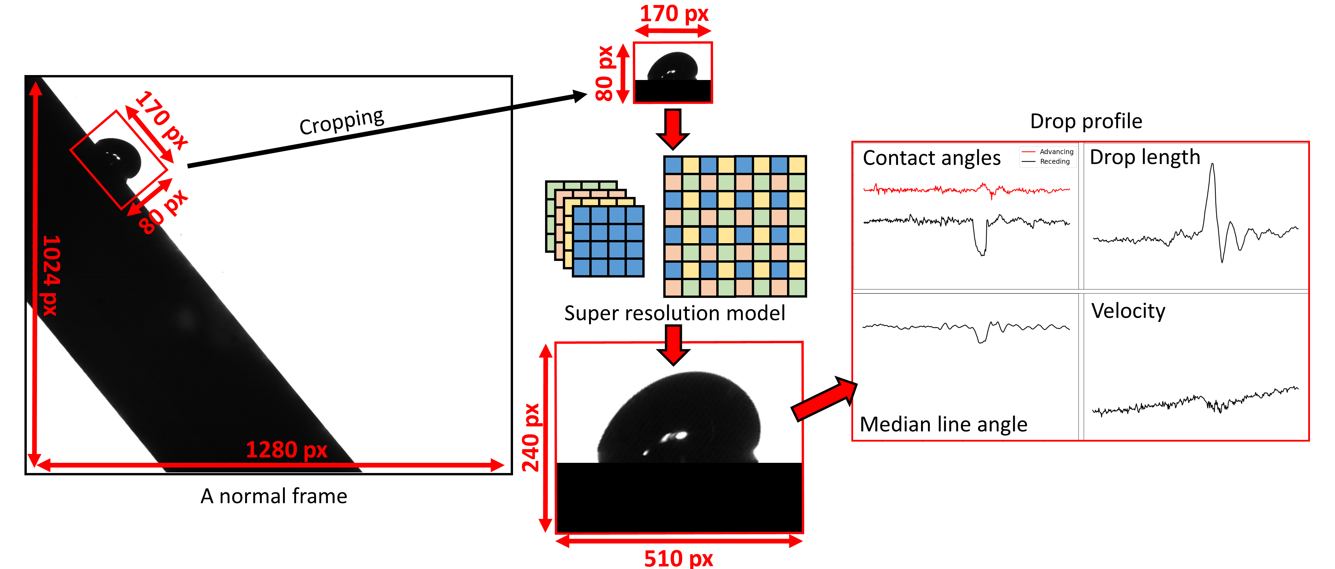 graphical abstract