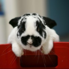 Avatar for Mitchell Currie from gravatar.com