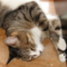 Avatar for ksauzz from gravatar.com