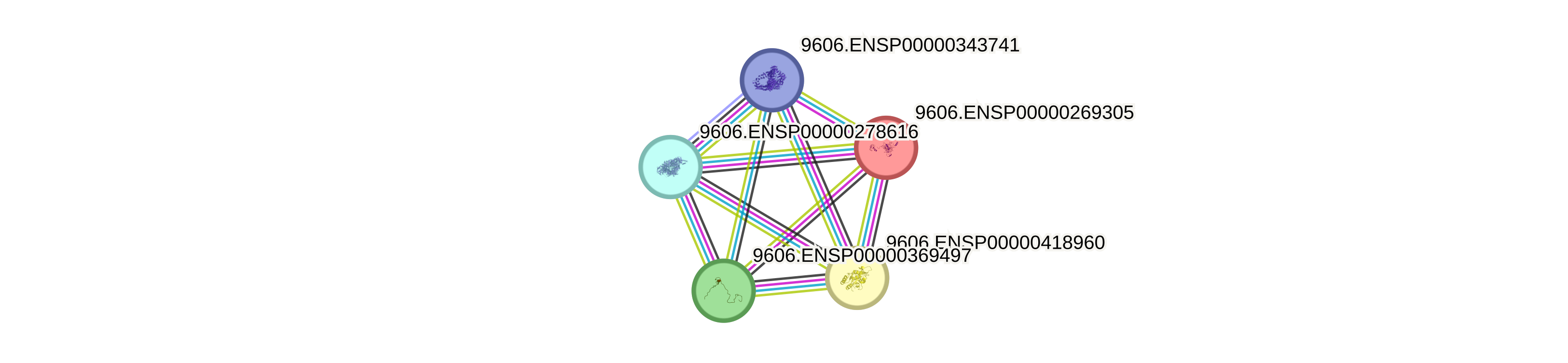 DNA Repair Protein Network